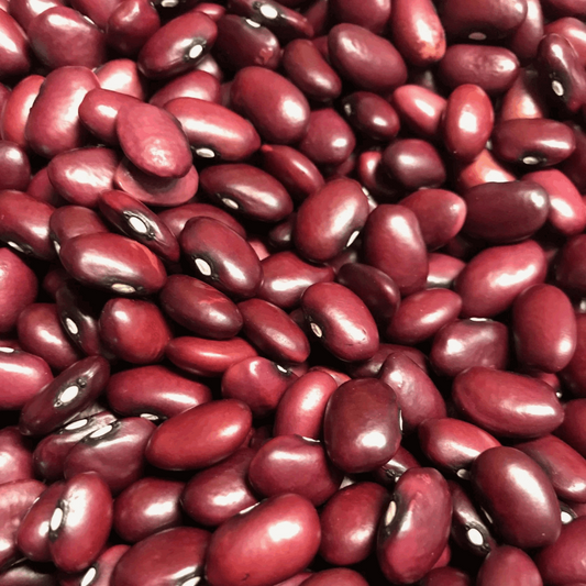 BC Eco Anasazi Tepary Bean 35 seeds