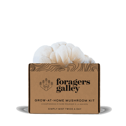 Foragers Galley Lion's Main Grow at Home Kit