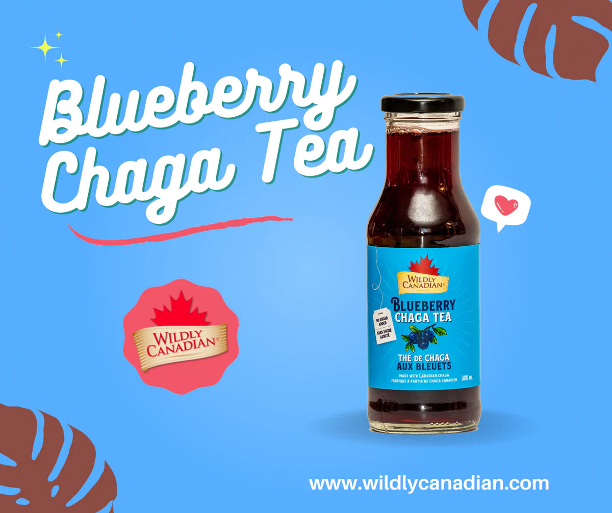 Wildly Canadian Blueberry Chaga Tea 300ml